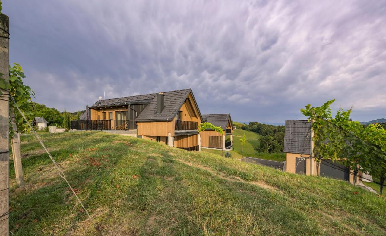 Weinzeit Chalets غامليتز المظهر الخارجي الصورة